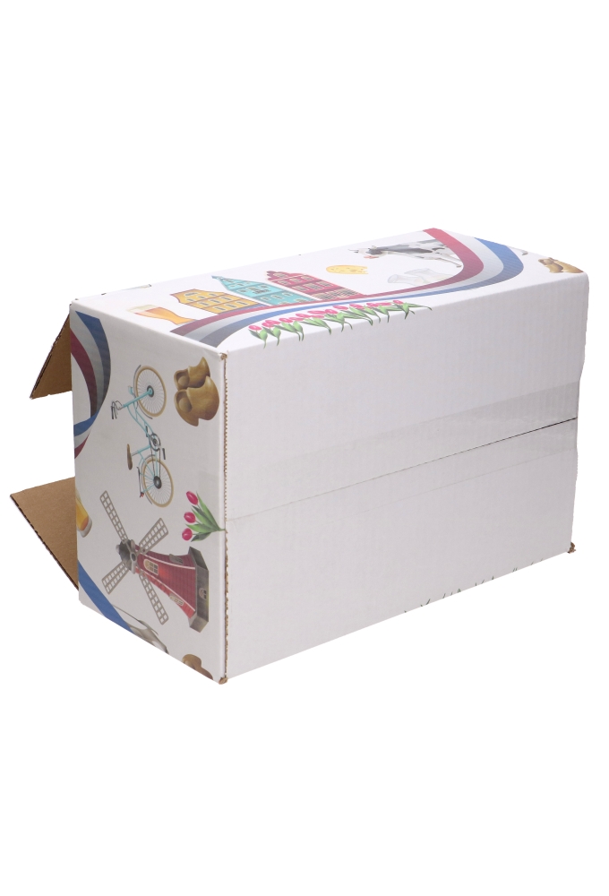 Geschenkdozen Nederland Box 31x20x14cm 30stuks