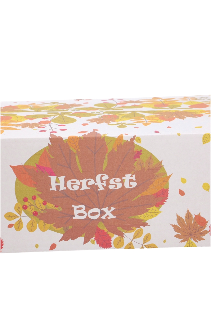 Geschenkdozen Herfstbox 39x29x13cm 15stuks