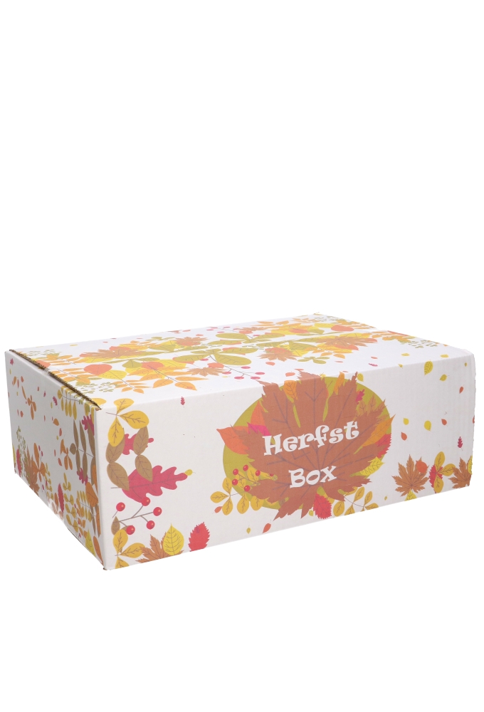 Geschenkdozen Herfstbox 39x29x13cm 15stuks