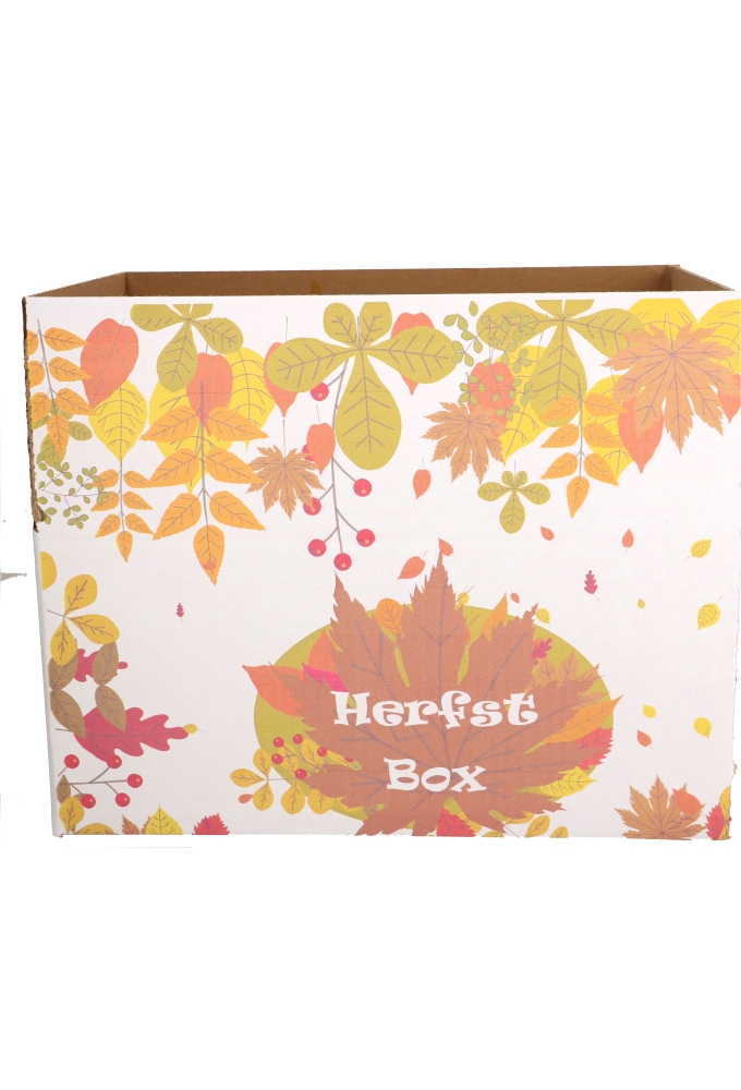 Geschenkdozen Herfstbox 31x20x14cm 30stuks