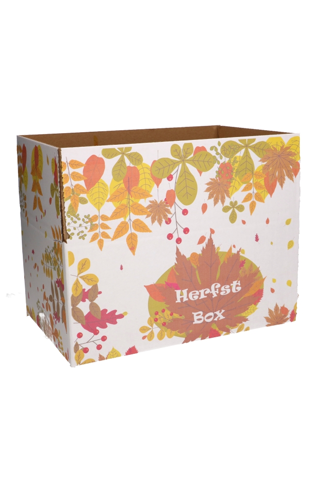 Geschenkdozen Herfstbox 31x20x14cm 30stuks