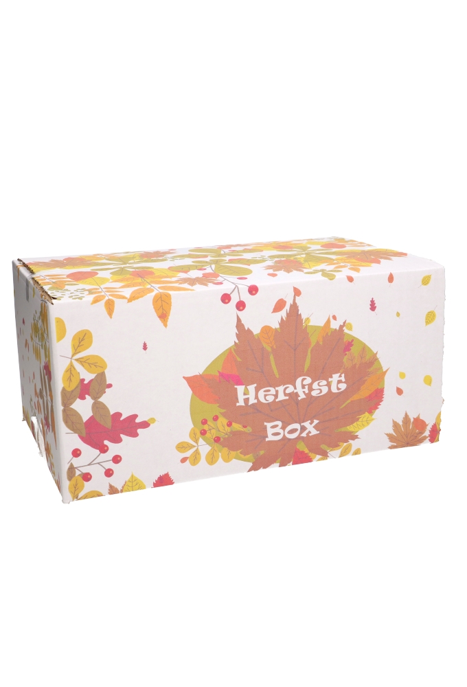 Geschenkdozen Herfstbox 31x20x14cm 30stuks