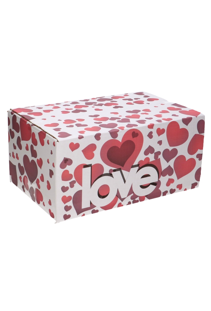 Geschenkdozen Love 31x20x14cm 30stuks