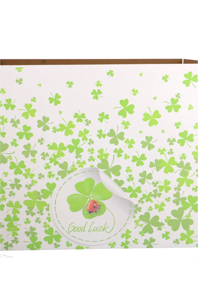 Geschenkdozen Good Luck 39x29x13cm 15stuks