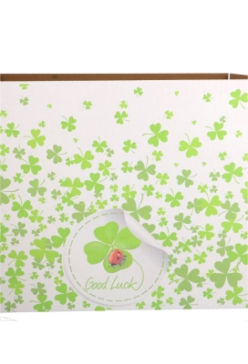 Geschenkdozen Good Luck 39x29x13cm 15stuks