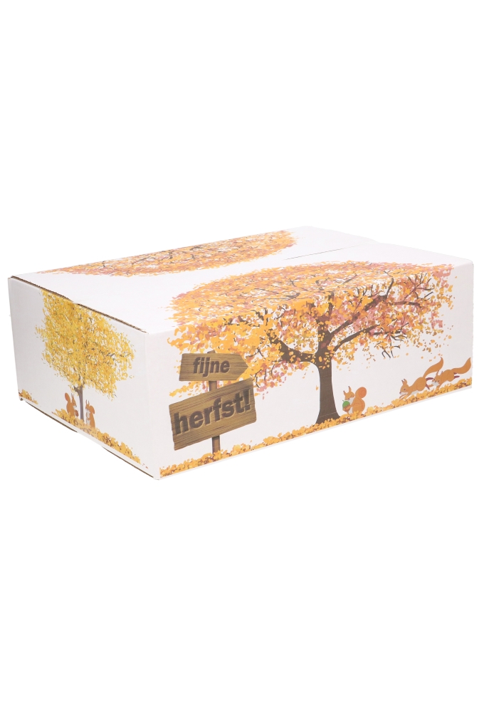 Geschenkdozen Fijne Herfst 39x29x13cm 15stuks