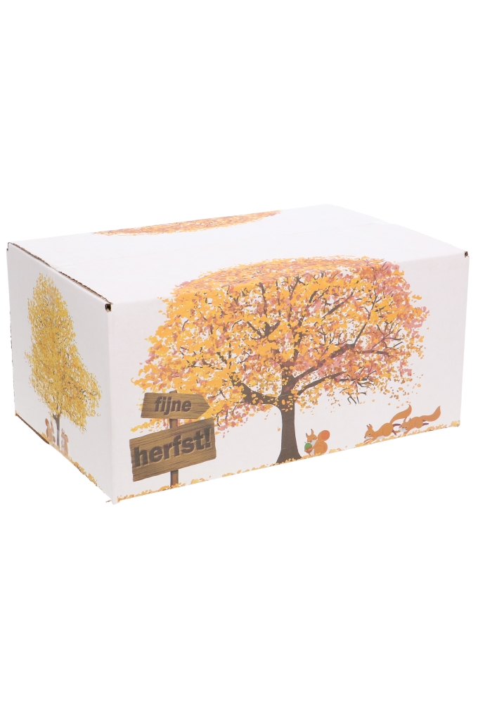 Geschenkdozen Fijne Herfst 31x20x14cm 30stuks