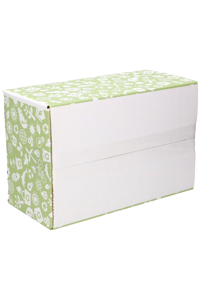 Geschenkdozen Duurzaam Symbool 31x20x14cm 30stuks