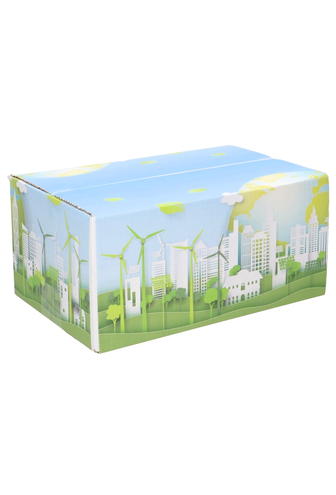 Geschenkdozen Duurzaam Windmolen 31x20x14cm 30stuks