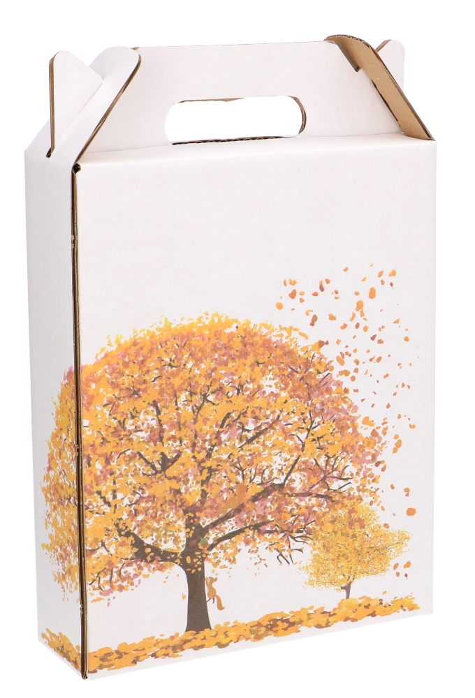 Bierverpakking Fijne Herfst 3 Flesjes Bier 18.5x6x23.5cm 15stuks