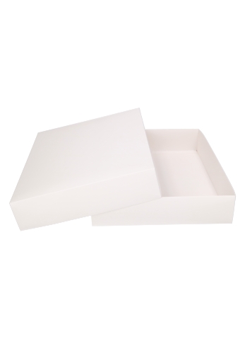 Geschenkdoos & Deksel Gaby Wit Mat 52x40x9cm 25stuks