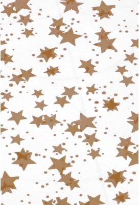 Cellofaan Zakjes Stars Gold 16x25cm 50stuks