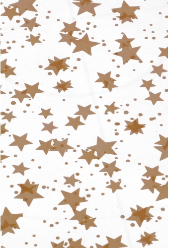 Cellofaan Zakjes Stars Gold 18x50cm 50stuks