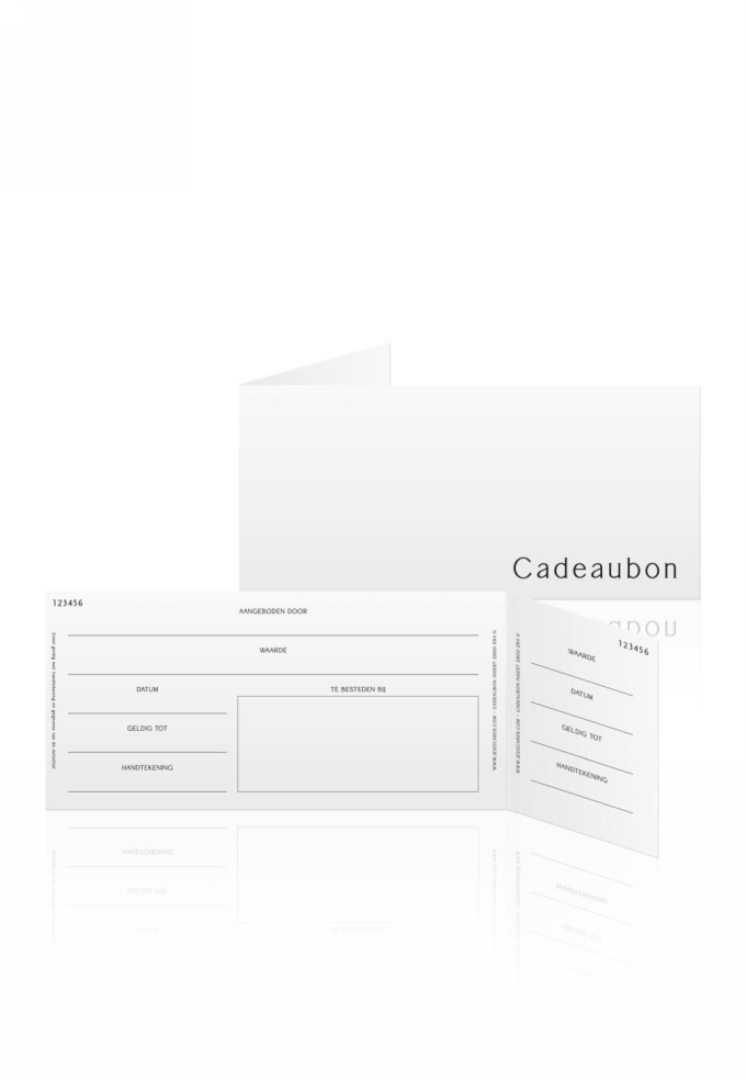 Cadeaubon + Luxe Cadeaudoosje Wit Cadeau Met Lint 22x11x1.3cm 10stuks