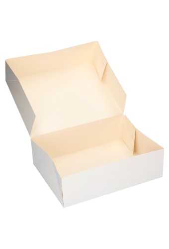 Gebaksdoos Blanco Wit Met Klep 26x20x8cm 250gram 200stuks