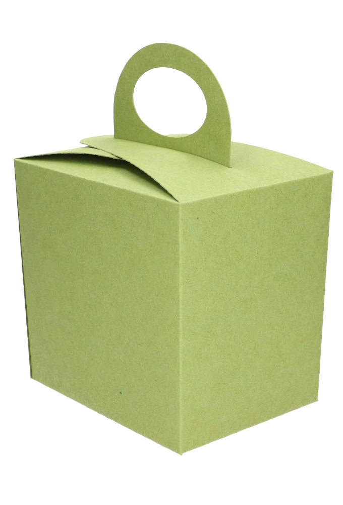 Paasdoosje Groen gerecycled Venster Hengsels Sokkel 16x12x15.5cm 25st