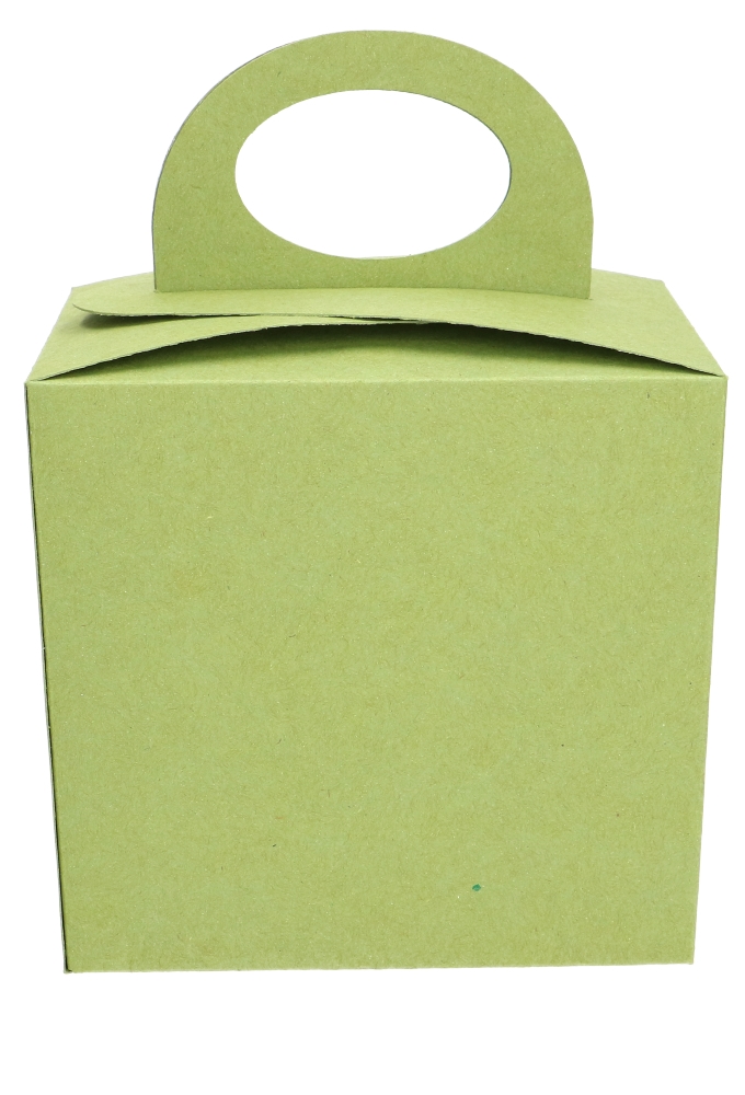 Paasdoosje Groen gerecycled Venster Hengsels Sokkel 16x12x15.5cm 25st