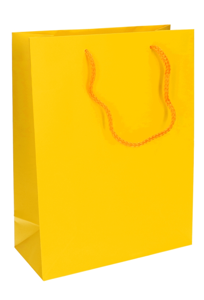 Kadotasjes Latina Mat Geel Met Koord 22x10x29cm 12stuks