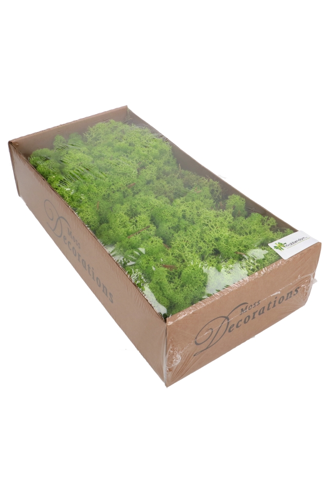 Mos Decoratie & Vullingmateriaal Reindeer Nature Groen 500 gram