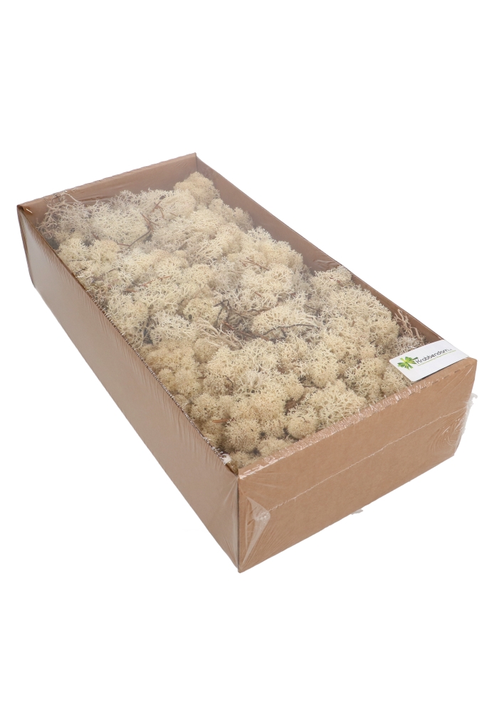 Mos Decoratie & Vullingmateriaal Reindeer Nature 500 gram