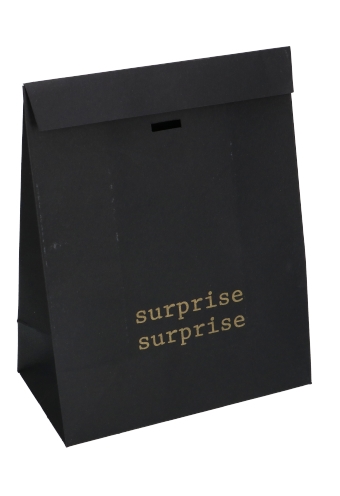 Kadozakjes Kraft Zupo Zwart Surprise & Lint Gleuf 18x10x26cm 12stuks