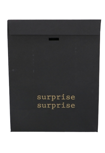 Kadozakjes Kraft Zupo Zwart Surprise & Lint Gleuf 18x10x26cm 12stuks