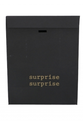 Kadozakjes Kraft Zupo Zwart Surprise & Lintgleuf 18x10x22cm 12stuks Kadozakjes Kraft Zupo Zwart Surprise & Lintgleuf 18x10x22cm 12stuks