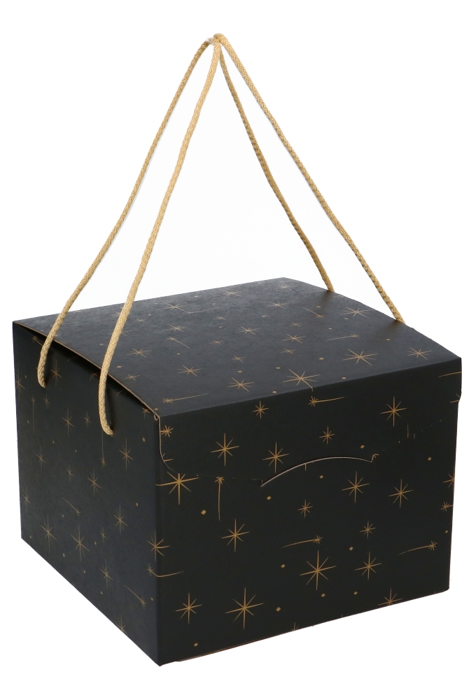 Geschenkdoos Zwart Stars & Koord 24.5x24.5x18cm 30stuks