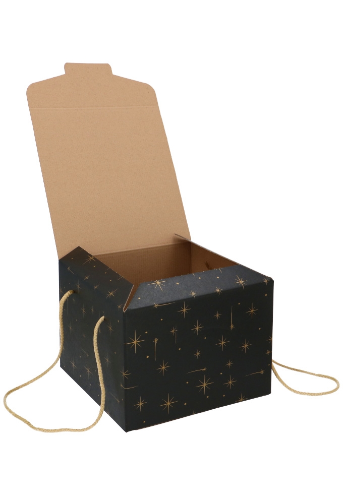 Geschenkdoos Zwart Stars & Koord 24.5x24.5x18cm 30stuks