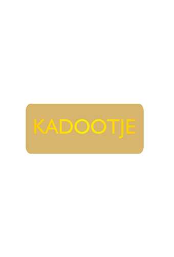 Etiketten Everyday Kadootje Goud 3.8x1.6cm 500stuks Etiketten Everyday Kadootje Goud 3.8x1.6cm 500stuks