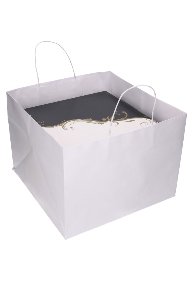 Papieren Draagtas Kassel Met Handvat Bio Wit 34x34x25cm 15stuks