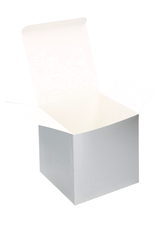 Kubus Geschenkdoosjes Zilver 12x12x12cm 25stuks