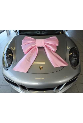 Megastrik Dubbel Roze Lucca 77x50+40cm & Zuignap lint 25cm