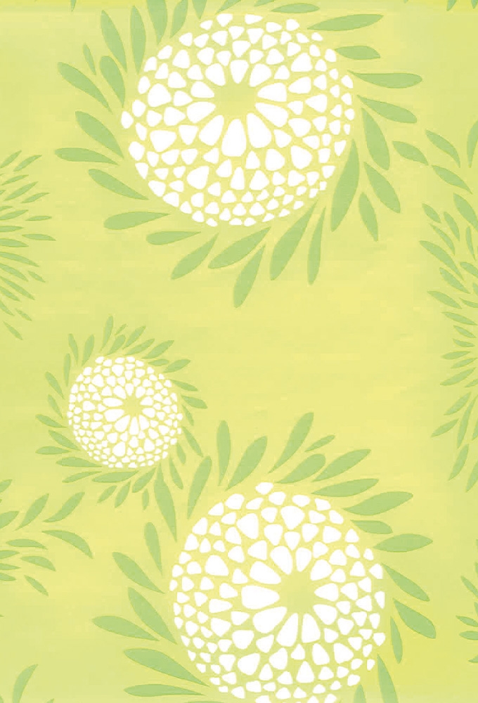 Cadeaupapier Trendy tournesol lime 50x70cm 250vellen