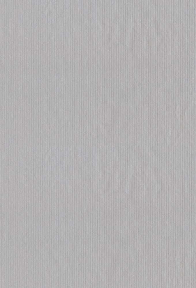 Kraftpapier Kraft Plain unicolor zilver 50cm x 200meter