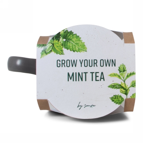 Jens Living Groei Je Eigen Muntthee Mok 13x9x9cm 1stuks