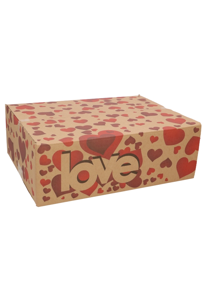 Geschenkdozen Love 39x29x13cm 15stuks