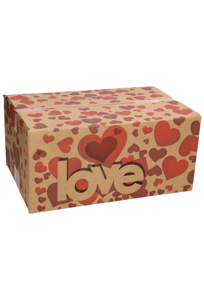 Geschenkdozen Love 31x20x14cm 30stuks