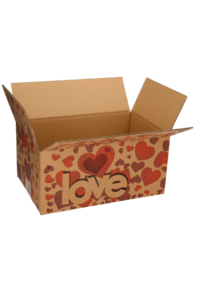 Geschenkdozen Love 31x20x14cm 30stuks