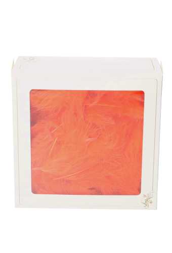 AKTIE Luxe Decoratie Veren 40 gram Oranje