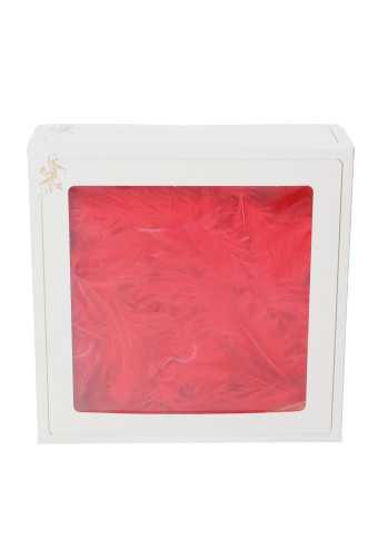 AKTIE Luxe Decoratie Veren 40 gram Rood