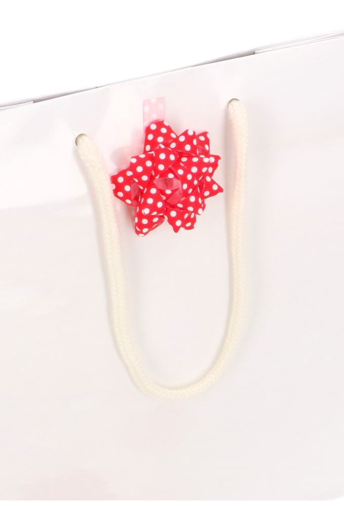 Tassensluiter 2x Mini Bows R50mm Dots Rood Met Plakker 50stuks