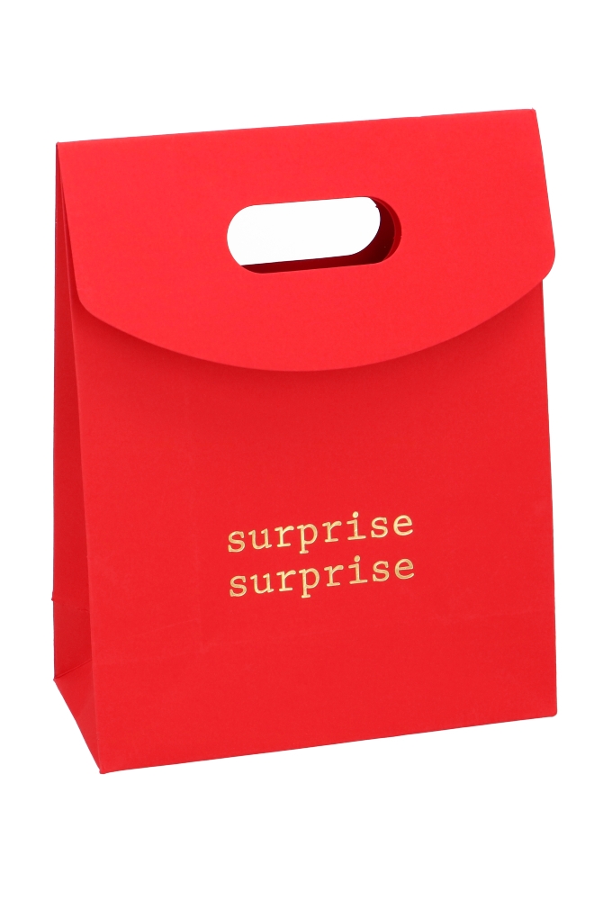 Geschenktasjes Met Handgreep Mocona Surprise Rood 19x9x24.5cm 12stuks