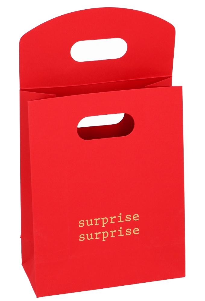 Geschenktasjes Met Handgreep Mocona Surprise Rood 19x9x24.5cm 12stuks