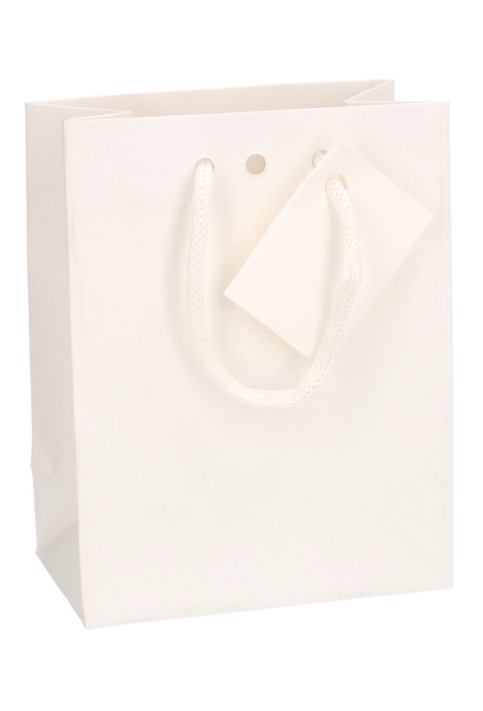 Kadotasjes Praag Line Wit Mat Met Lintgleuf 11.4x6.4x14.6cm 20stuks