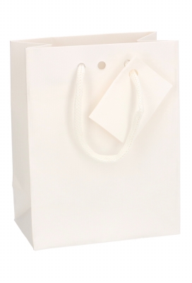 Kadotasjes Praag Line Wit Mat Met Lintgleuf 11.4x6.4x14.6cm 20stuks Kadotasjes Praag Line Wit Mat Met Lintgleuf 11.4x6.4x14.6cm 20stuks