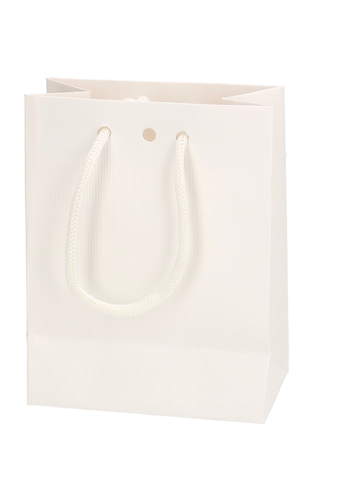 Kadotasjes Praag Line Wit Mat Met Lintgleuf 11.4x6.4x14.6cm 20stuks