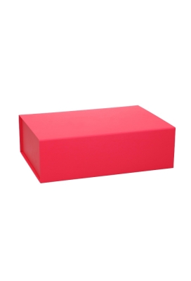 Luxe Magneetdozen New York Mat Fuchsia 33x22x10cm 1200gr 25stuks