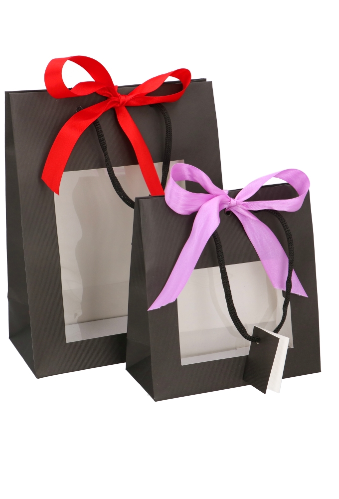 Kadotasjes Praag Zwart Line Mat Met PVC Venster 22x11x28cm 10stuks