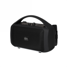 Brainz Karaoke Speaker Xxl 27x13.5x22cm 1stuks Brainz Karaoke Speaker Xxl 27x13.5x22cm 1stuks